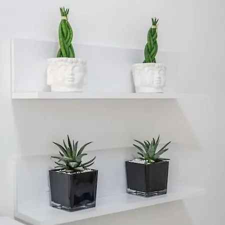 Bllok Moni Resilience 2bedr Terrace Lejlighed Tirana